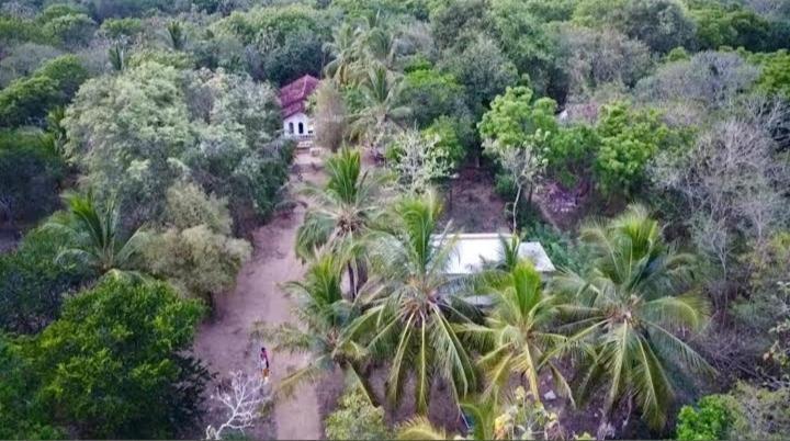 Soma Cabana, Homestay & Restaurant Tangalle Exterior foto